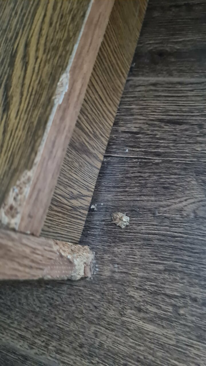 Гостиница Русь Туапсе-192