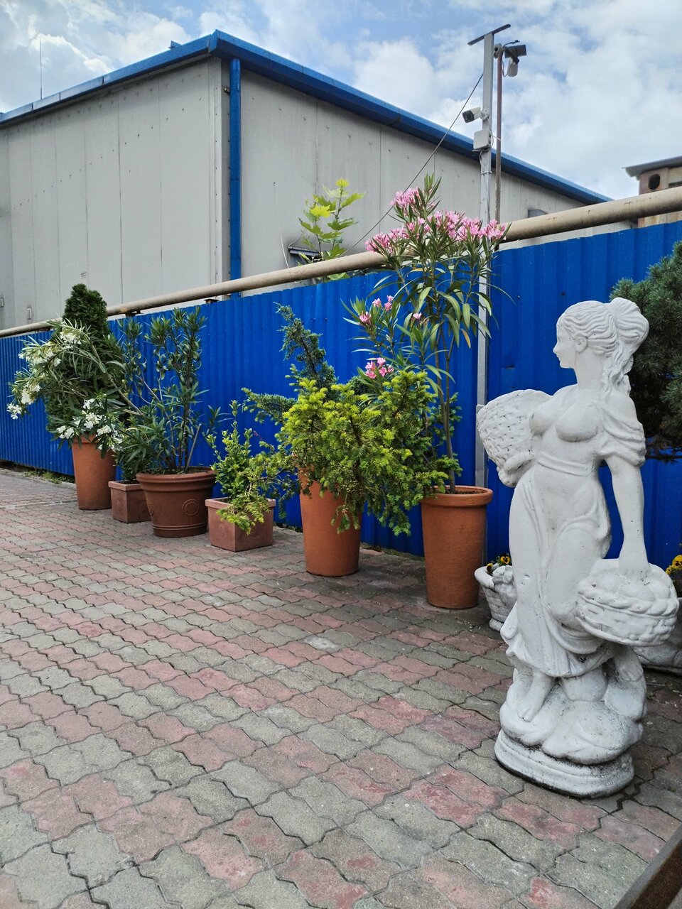 Гостиница Русь Туапсе-179