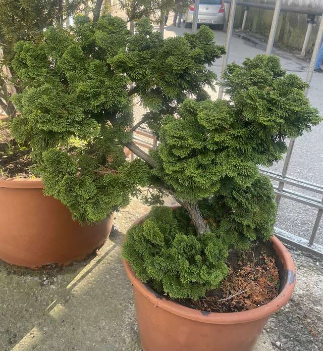 Гостиница Русь Туапсе-174