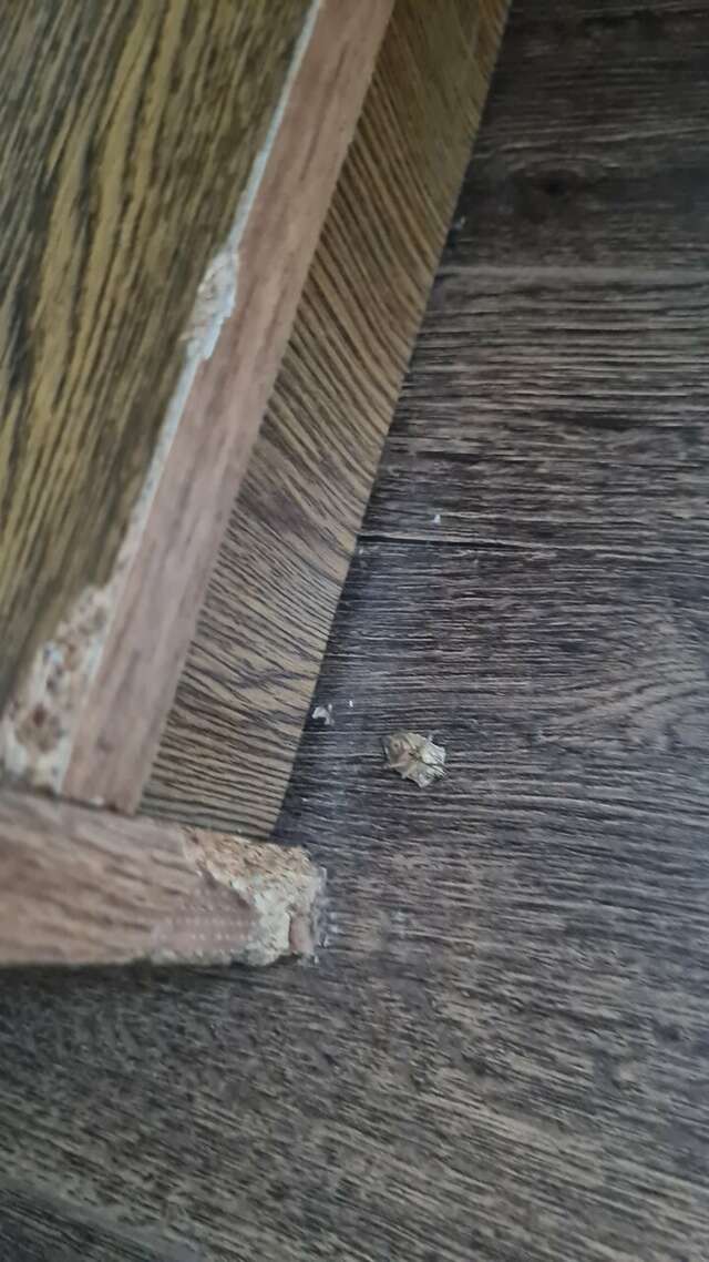 Гостиница Русь Туапсе-191