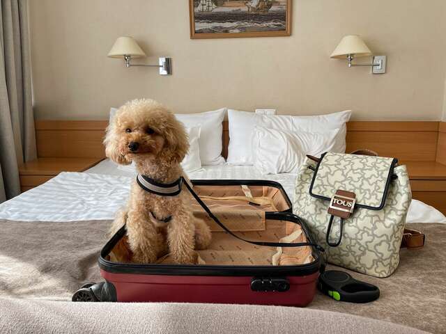 Гостиница Русь Туапсе-31