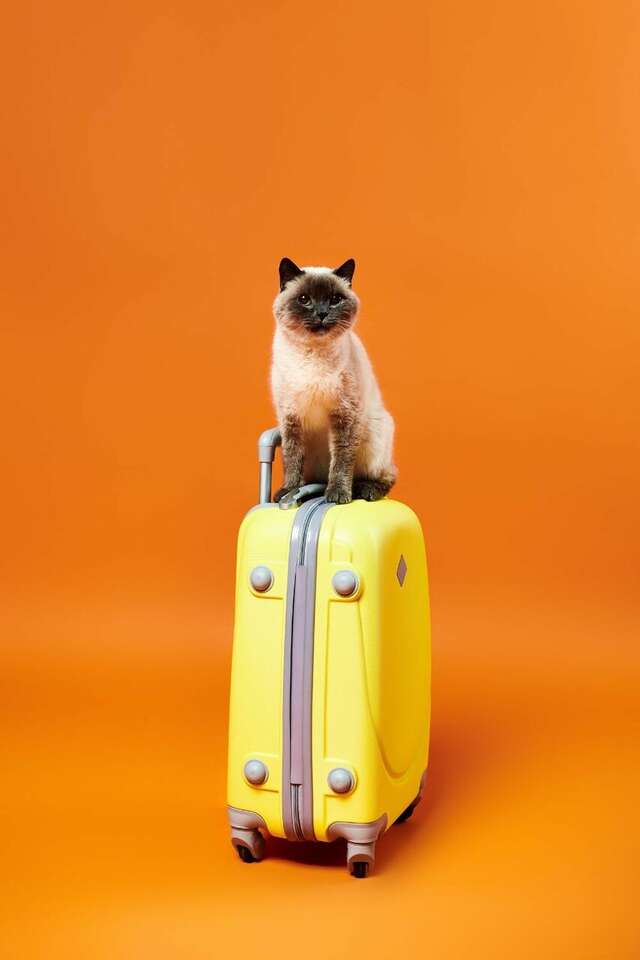 Гостиница Русь Туапсе-25